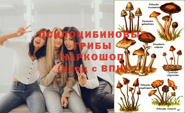 прущая мука Волосово