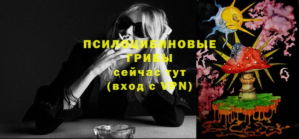 бошки Володарск